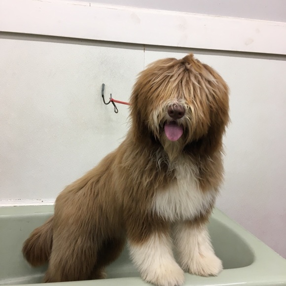 Meet your Posher, Freya EightyEight - Picture 14 of 16